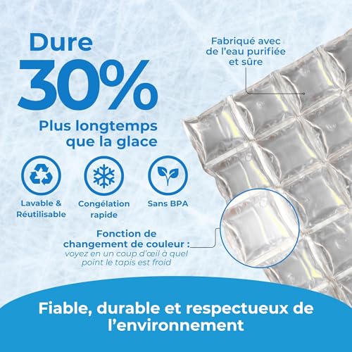 Icy Cools Reusable Ice Mats :: Three (3) Pack for Coolers (10" x 16" each - Equivalent to 10 lbs of Ice)