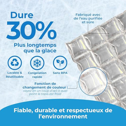 Icy Cools Reusable Ice Mats :: Three (3) Pack for Coolers (10" x 16" each - Equivalent to 10 lbs of Ice)