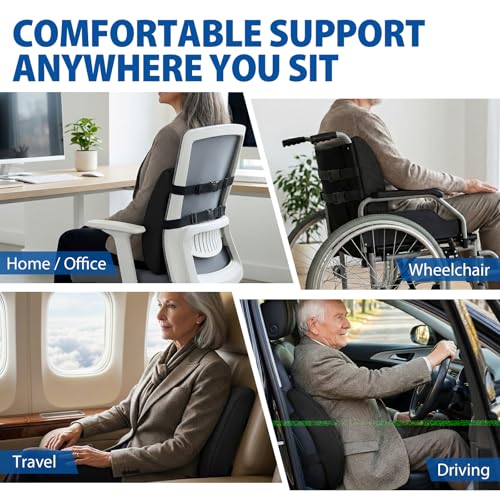 Blue Jay Memory Foam Lumbar Support for Wheelchair - Orthopedic Back Cushion for Elderly, Posture Correction & Lower Back Pressure Relief - Breathable Mesh
