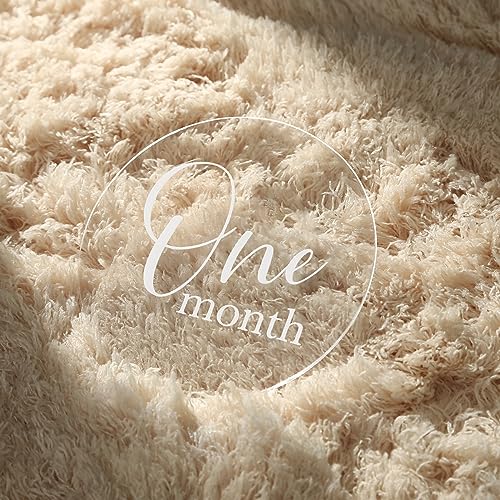 UNIQOOO 13Pcs 4'' Clear Acrylic Monthly Baby Milestone Printed Cards, Photo Props, Round Baby Months Growth Sign for Boy, Girl Photography, One Month to One Year & Hello World Card, New Baby Gifts - color: Clear