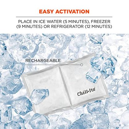 Ergodyne Chill Its 6283 Rechargeable Phase Change Cool Ice Pack, Reusable Cooling Relief in Minutes