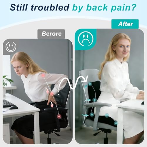 Seat Cushion for Office Chair, Ergonomic Cushion with Lumbar Support Pillow - color: Black
