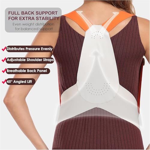 Belly Bands for Pregnant Women with Adjustable Support Brace Straps - color: Beige L