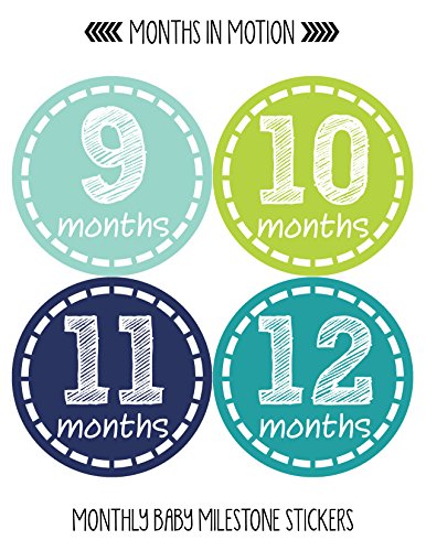 Baby Monthly Milestone Stickers - Newborn Boy Stickers (Style 113)