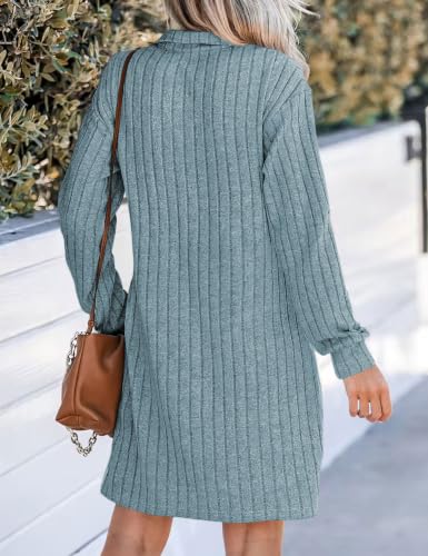 Naggoo Womens Fall Long Sleeve Dresses Collared V Neck Sweater Mini Dress - color: Blue, size: Medium