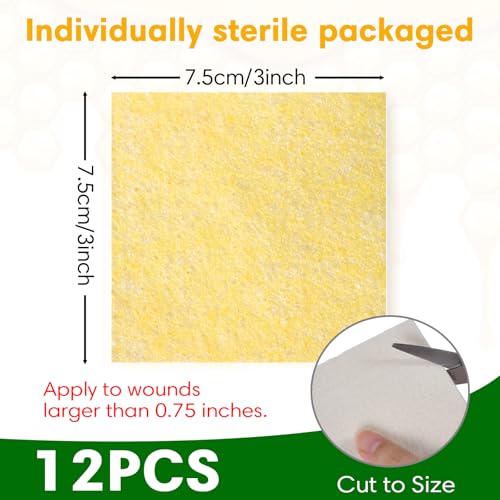Manuka Honey Calcium Alginate Wound Dressing, 3"×3", 12 Individual Pack - size: 3×3 Inch