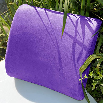 Bookishbunny Premium Memory Foam Lumbar Support Cushion Pillow (Purple) - color: Purple